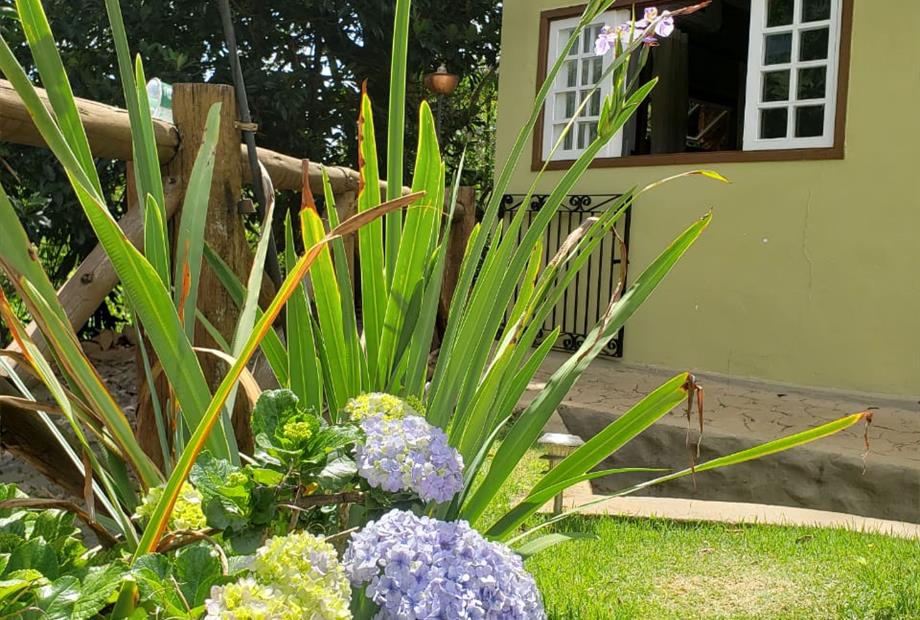 whatsapp image 2020-11-13 at 15.36.08 (2).jpeg