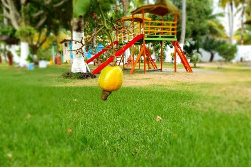 whatsapp image 2020-12-02 at 14.54.11.jpeg