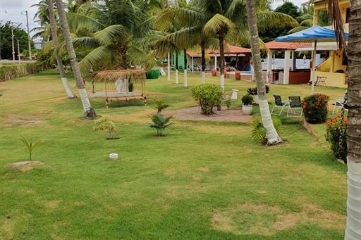 whatsapp image 2020-12-02 at 14.54.09 (1).jpeg