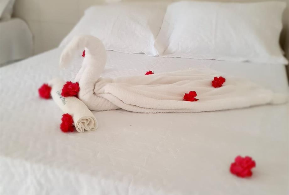 whatsapp image 2020-12-02 at 14.54.06 (1).jpeg