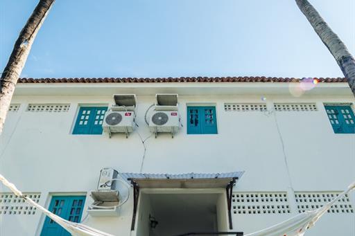 coqueiros detalhe.jpeg