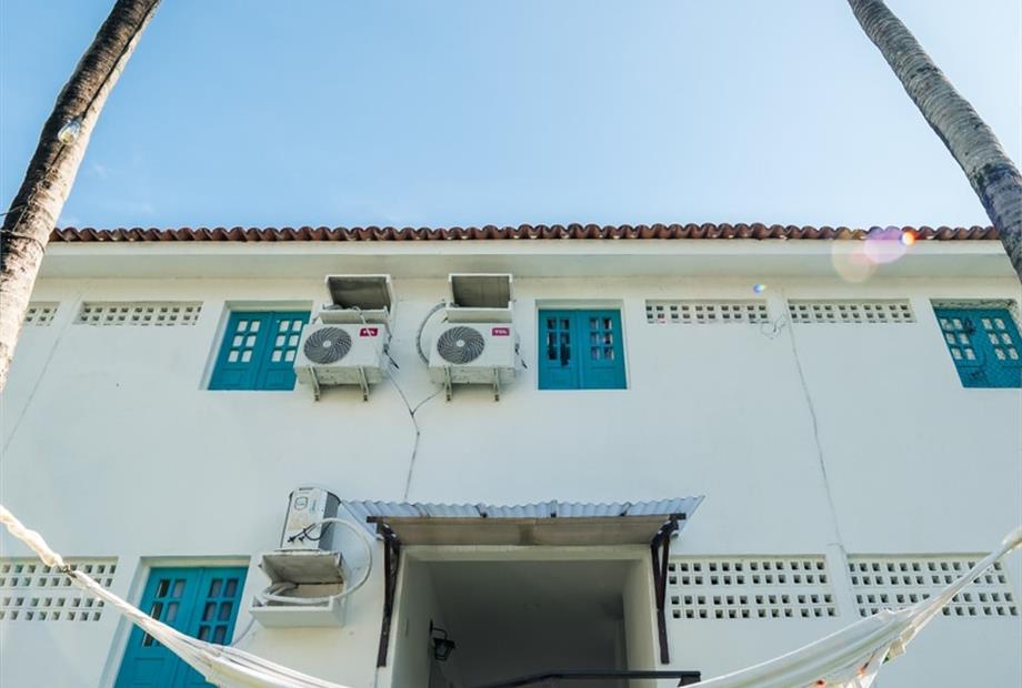 coqueiros detalhe.jpeg