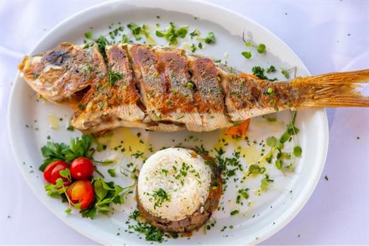 pratos_sambass + aqua  (5).jpeg