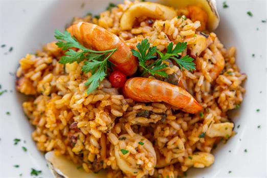 pratos_sambass + aqua  (27).jpeg