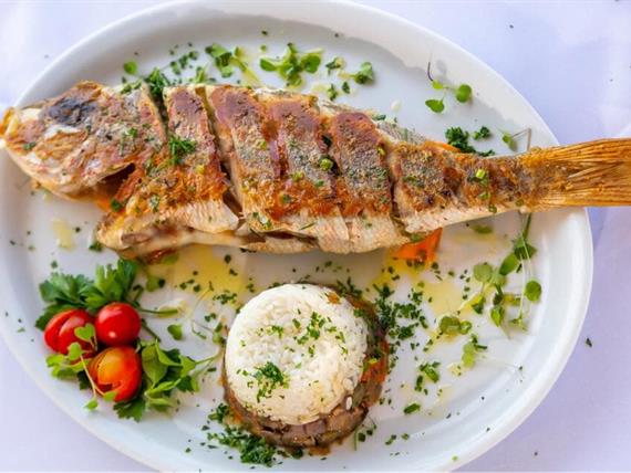 pratos_sambass + aqua  (5).jpeg