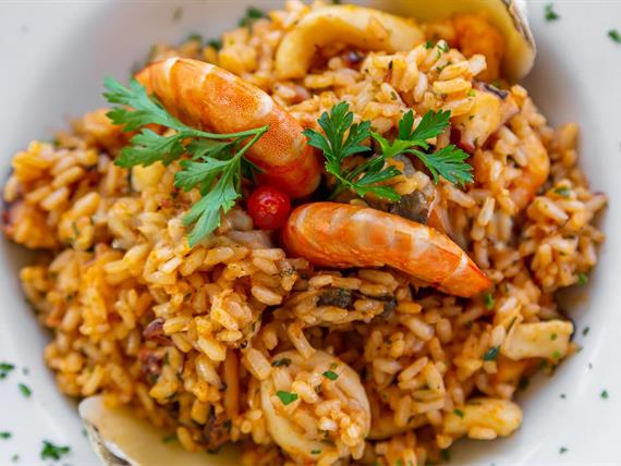 pratos_sambass + aqua  (27).jpeg