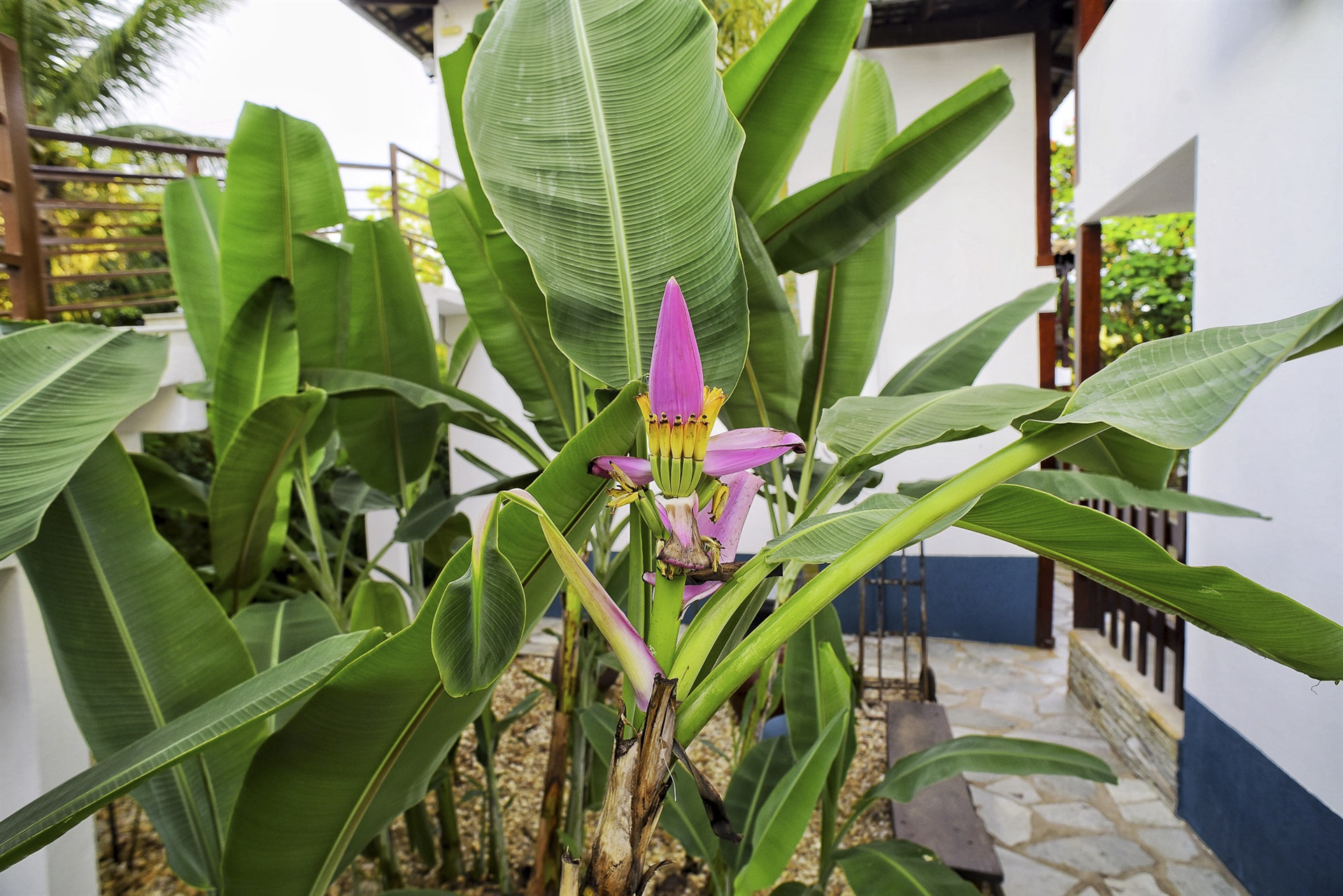 Villaê Pousada 3
