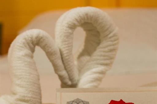 whatsapp image 2022-11-26 at 10.19.13.jpeg