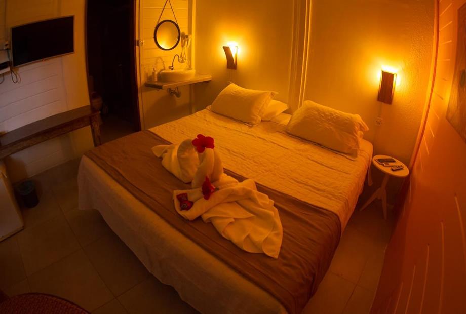 whatsapp image 2022-11-26 at 10.18.15.jpeg