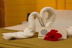 Apartamento Standard