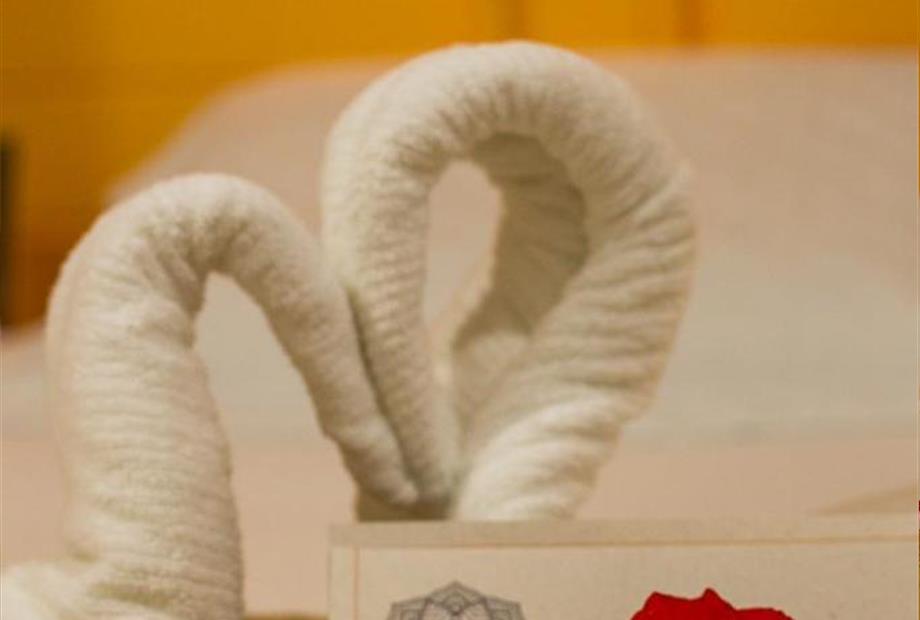 whatsapp image 2022-11-26 at 10.19.13.jpeg