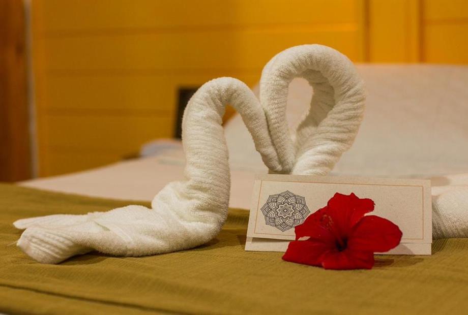 whatsapp image 2022-11-26 at 10.19.15.jpeg