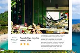 para omn - algas marinhas.jpg