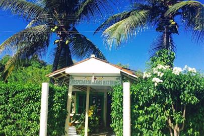 algas marinhas 03.jpg