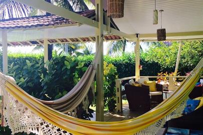 algas marinhas 02.jpg