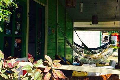 algas marinhas 08.jpg