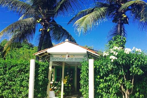 algas marinhas 03.jpg