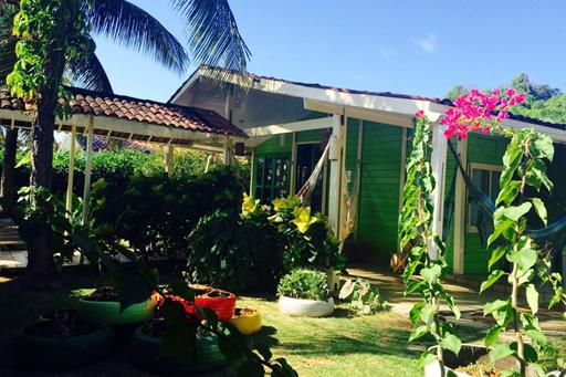 algas marinhas 04.jpg