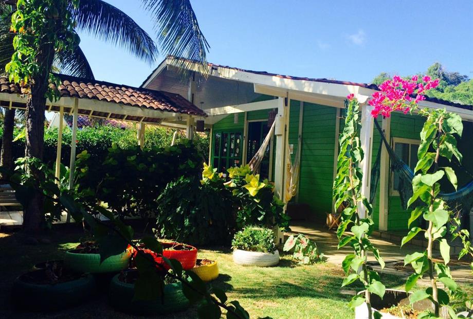 algas marinhas 04.jpg