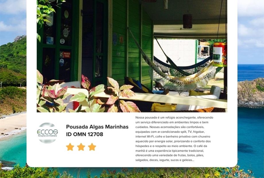 para omn - algas marinhas.jpg