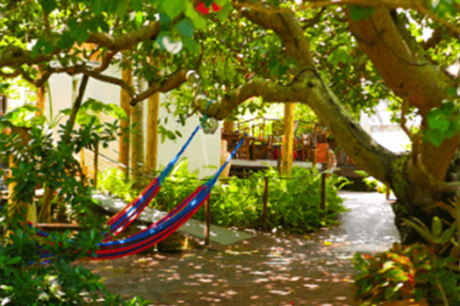 p2460690_batcheditor_fotor (1).png