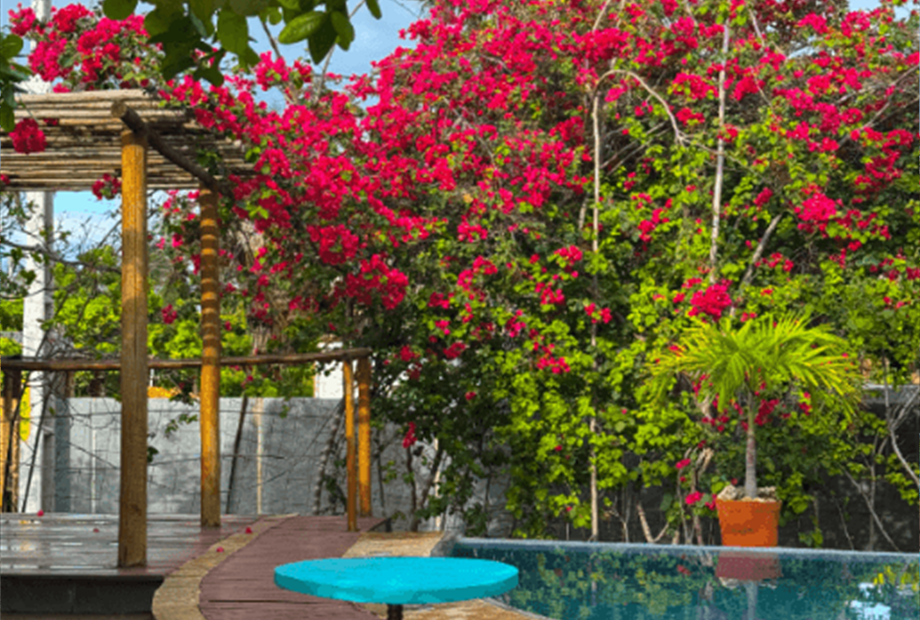 img_1172_batcheditor_fotor (1).png