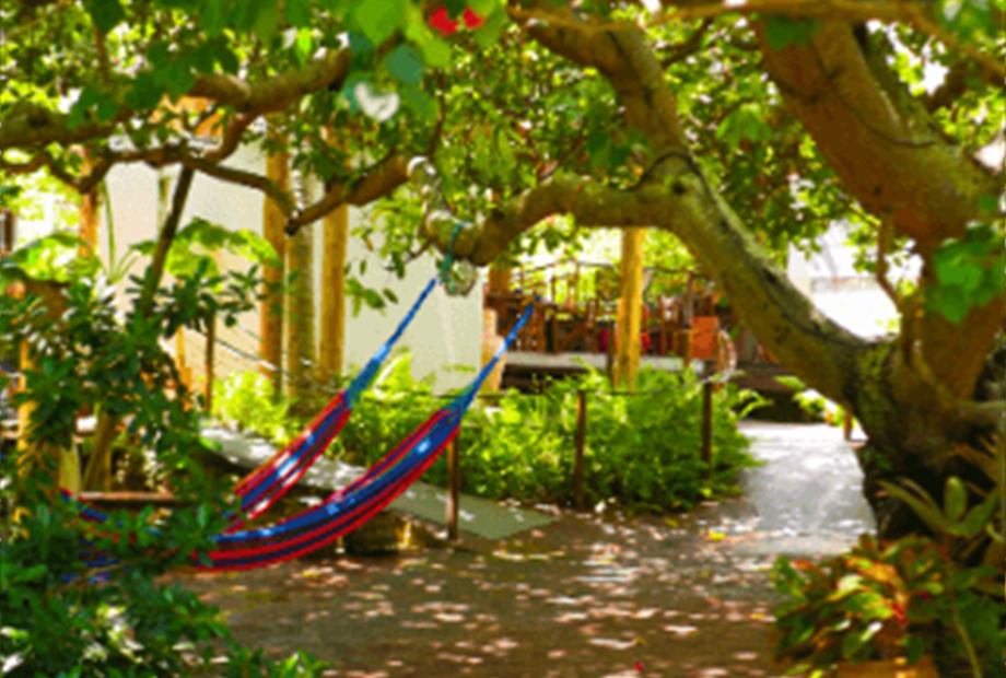 p2460690_batcheditor_fotor (1).png