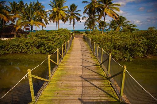 9f80a001-a222-4cef-ae2d-e7d4f77c91e9 (3).jpg