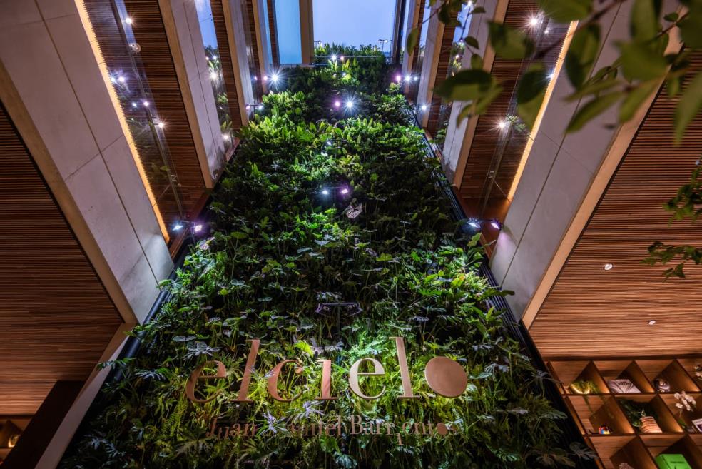 jardín vertical elcielo.jpg