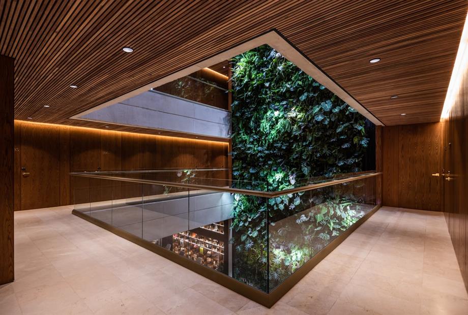 escaleras elcielo.jpg