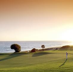 Omnibees Gallery RPG.043.jpeg