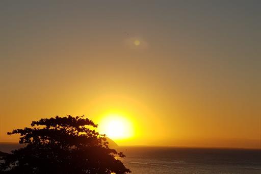 WhatsApp Image 2021-02-11 at 08.56.40.jpeg