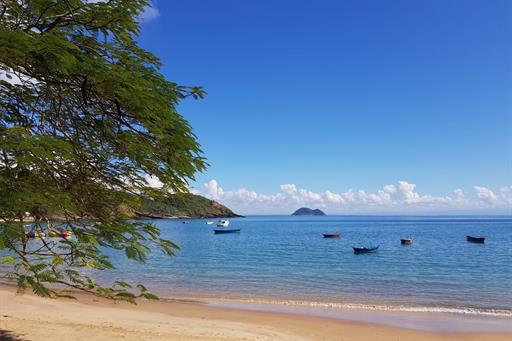 WhatsApp Image 2021-02-11 at 08.58.24.jpeg