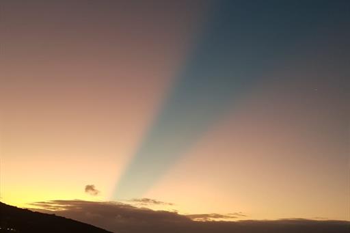 WhatsApp Image 2021-02-11 at 08.59.48.jpeg