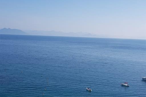 WhatsApp Image 2021-02-11 at 09.02.21.jpeg