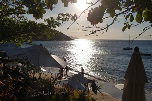 WhatsApp Image 2021-02-11 at 09.13.05 (2).jpeg