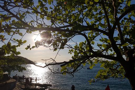 WhatsApp Image 2021-02-11 at 09.13.05.jpeg