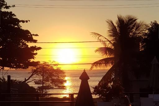 WhatsApp Image 2021-02-11 at 09.13.06 (1).jpeg