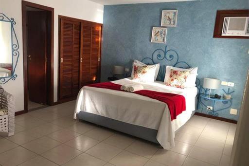 WhatsApp Image 2021-02-11 at 09.16.26.jpeg