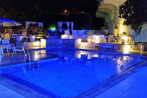 WhatsApp Image 2021-02-11 at 09.16.28.jpeg