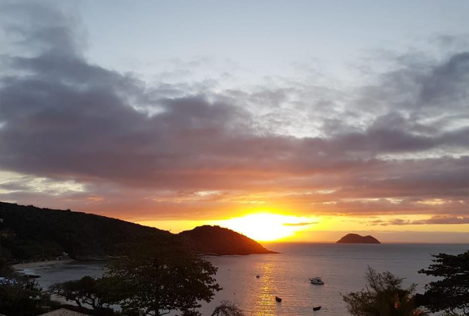 WhatsApp Image 2021-02-11 at 08.53.11.jpeg