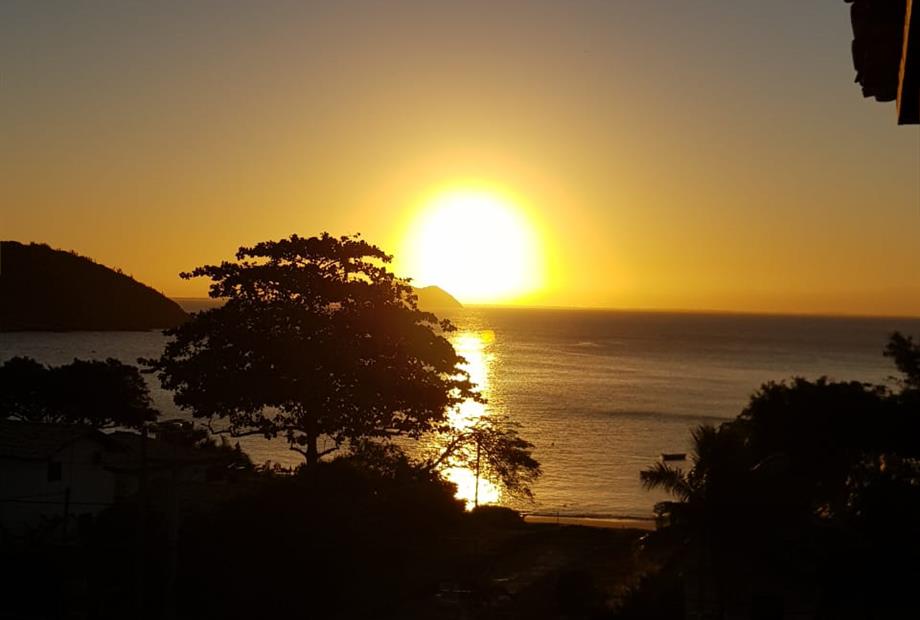 WhatsApp Image 2021-02-11 at 08.56.59.jpeg