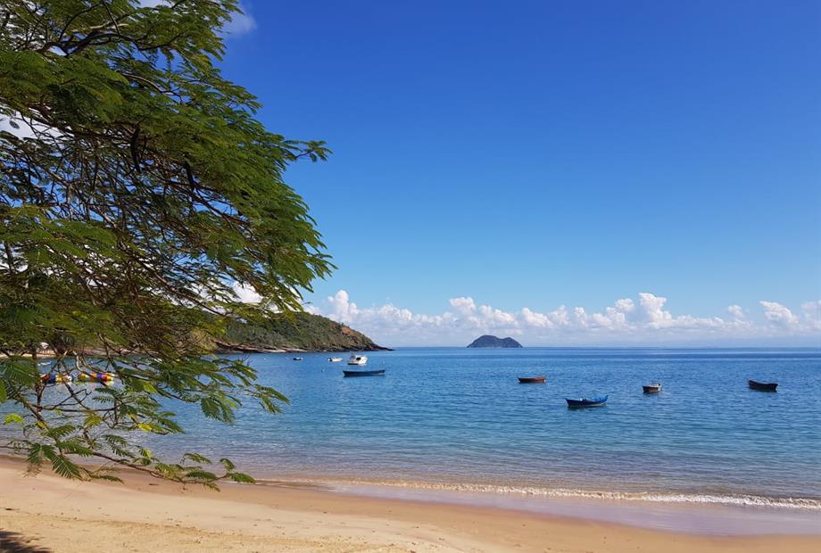 WhatsApp Image 2021-02-11 at 08.58.24.jpeg