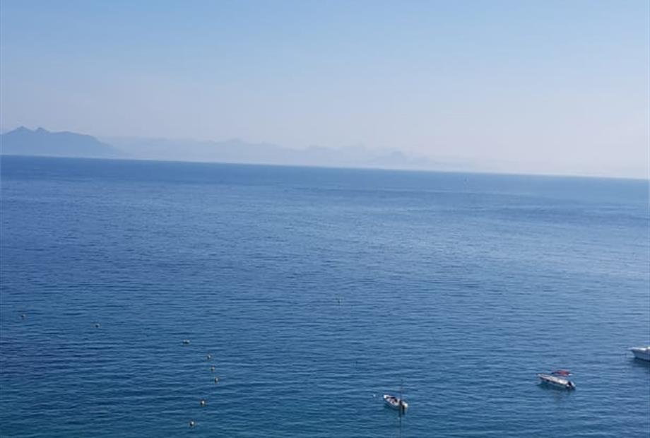 WhatsApp Image 2021-02-11 at 09.02.21.jpeg