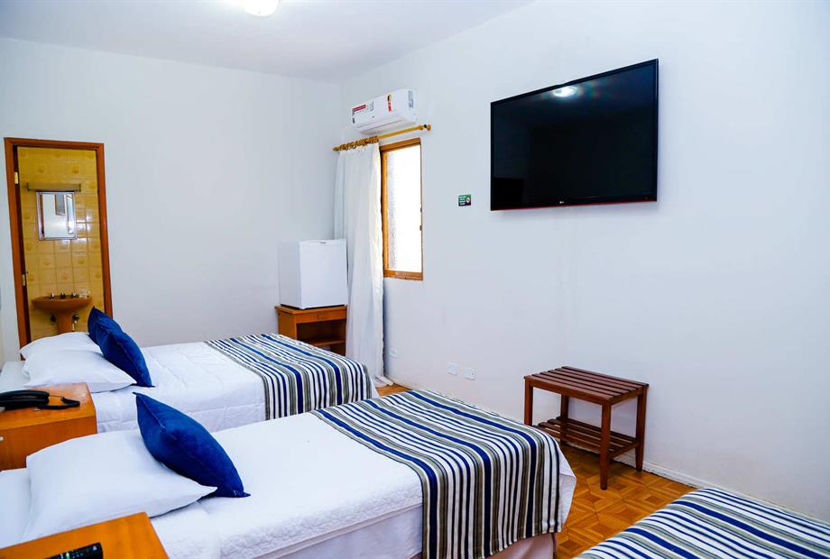 standard quádruplo (2).jpg