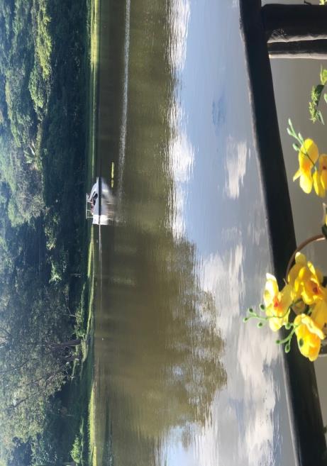 lago com pedalinho.jpg