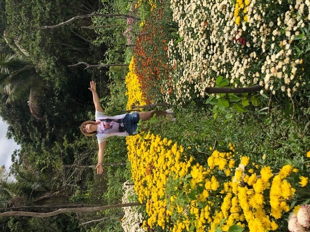 plantação de flores.jpg