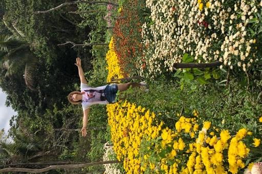 plantação de flores.jpg