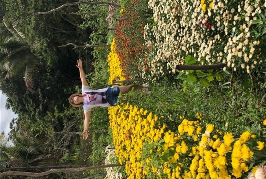 plantação de flores.jpg