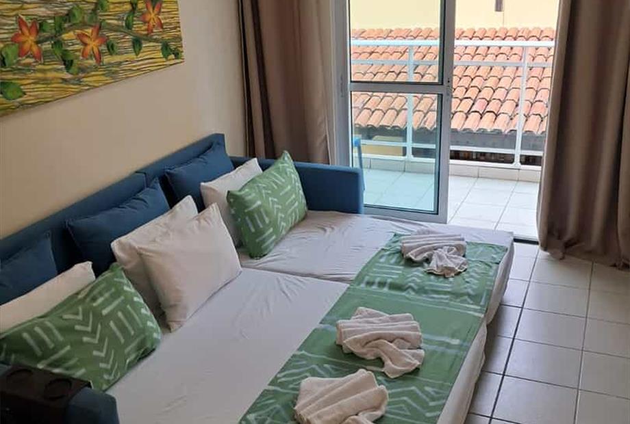 whatsapp image 2026-02-12 at 09.57.49.jpeg